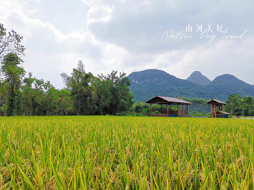 赏山悦水·拥抱自然——mingbo明博(中国)2020金秋阳朔之旅