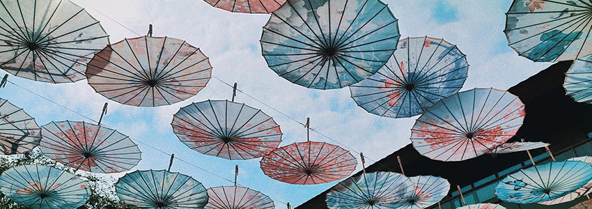 赏山悦水·拥抱自然——mingbo明博(中国)2020金秋阳朔之旅